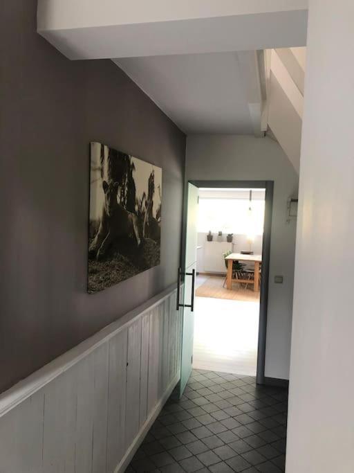 טהאו Grande Maison Cozy, Sud, 15 Min Spa Francorchamps מראה חיצוני תמונה